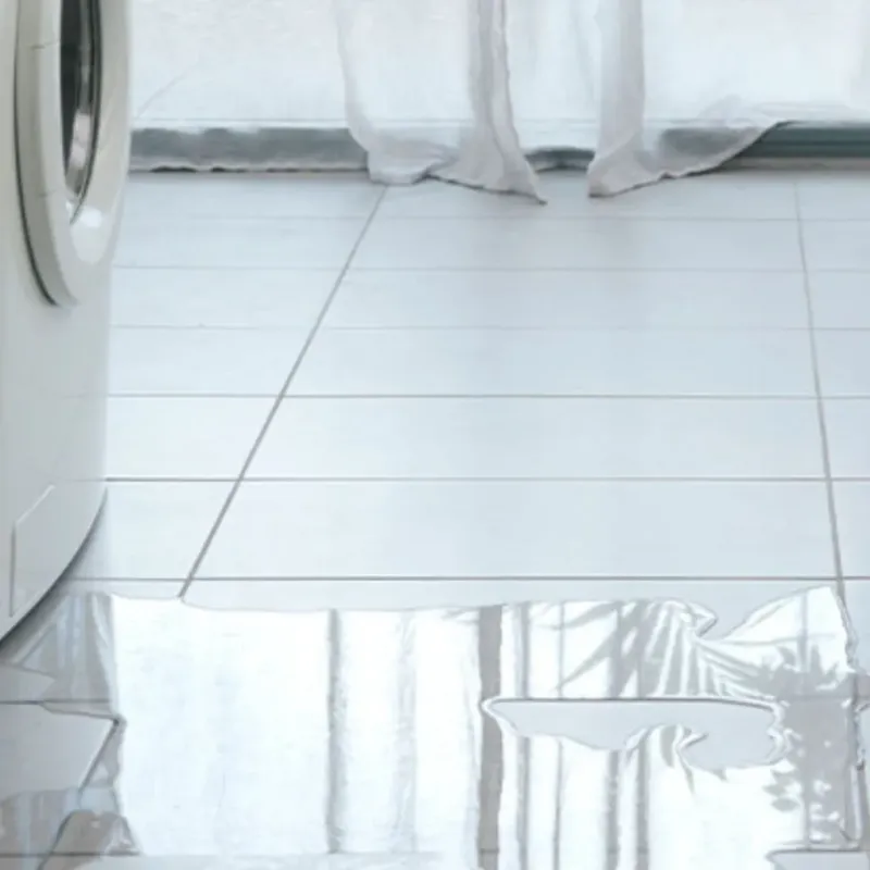 Appliance Leak Cleanup in Chester, GA